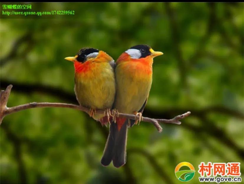 怎么能让（如何让自己变得心狠？）