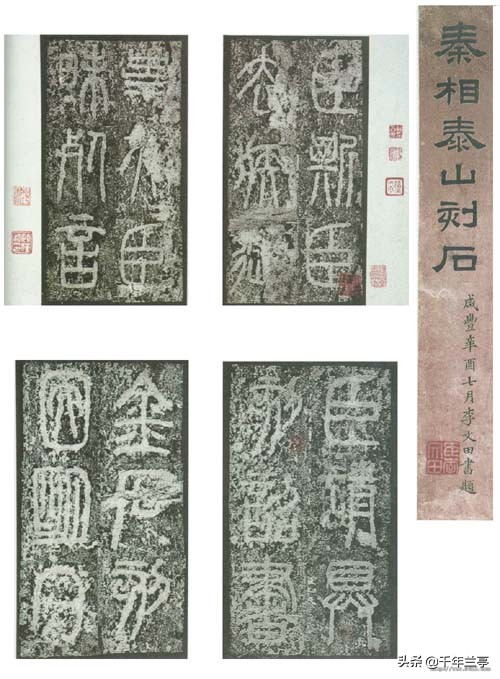 怎么查找草书字帖的字体