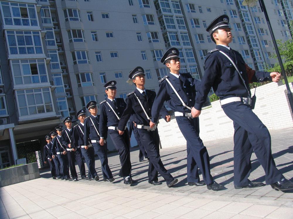 深圳市标准化协会怎么样