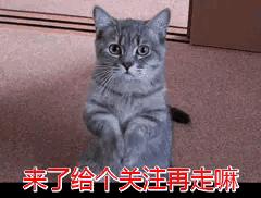 未牵绳大狗扑1岁娃