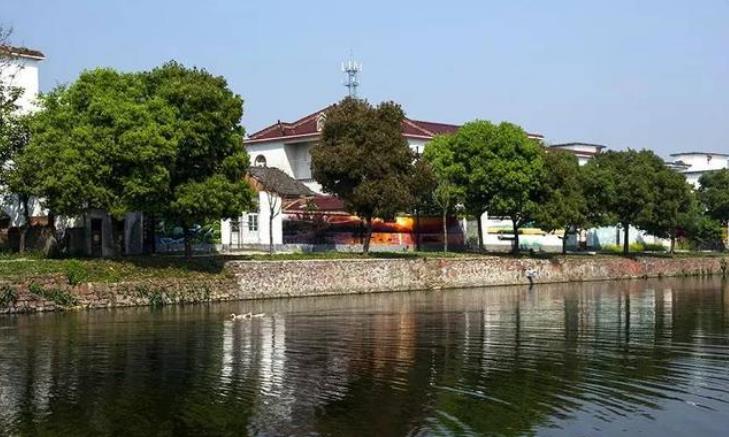 庐江县跟合肥市哪个大