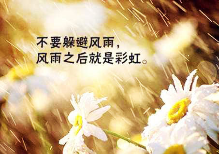 真的好累真的好累好累说说心情