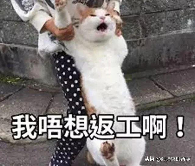 能不能分享一下你们喜欢的表情包？：大家好表情包