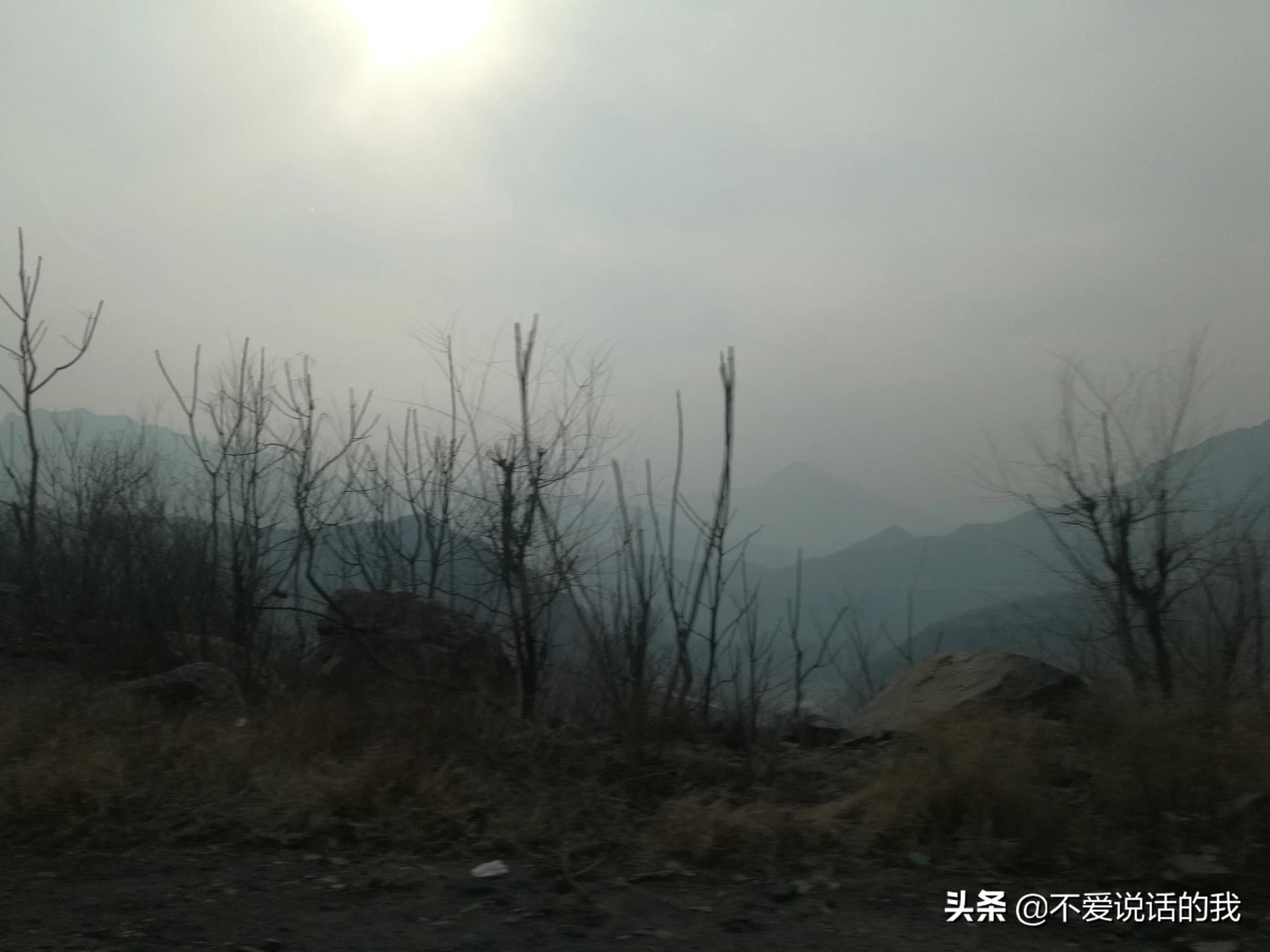 漂泊海外生活照片，漂泊海外生活照片真实