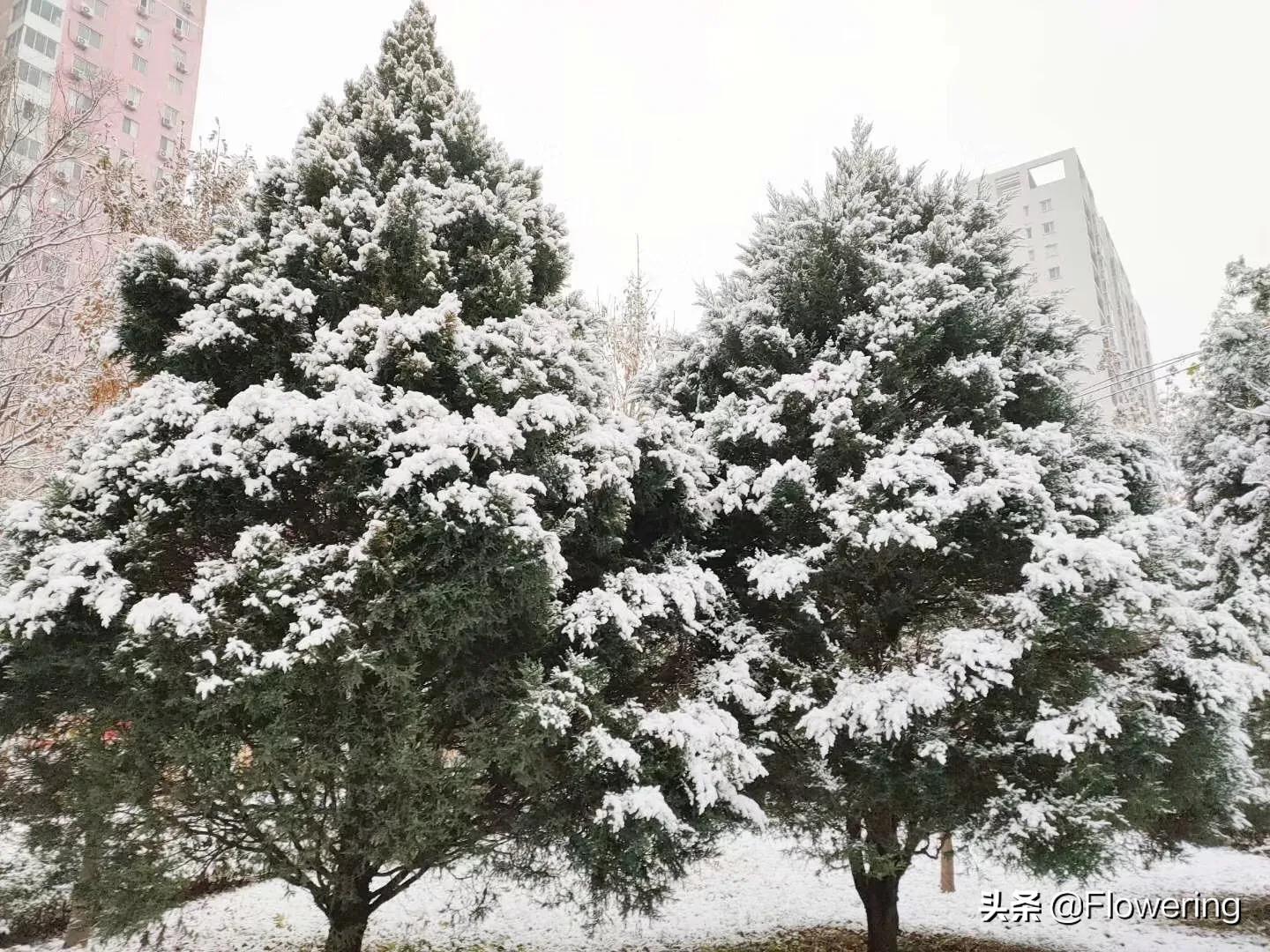 英语app开发中的算法
