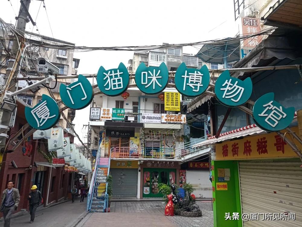 厦门市的发达程度怎么样