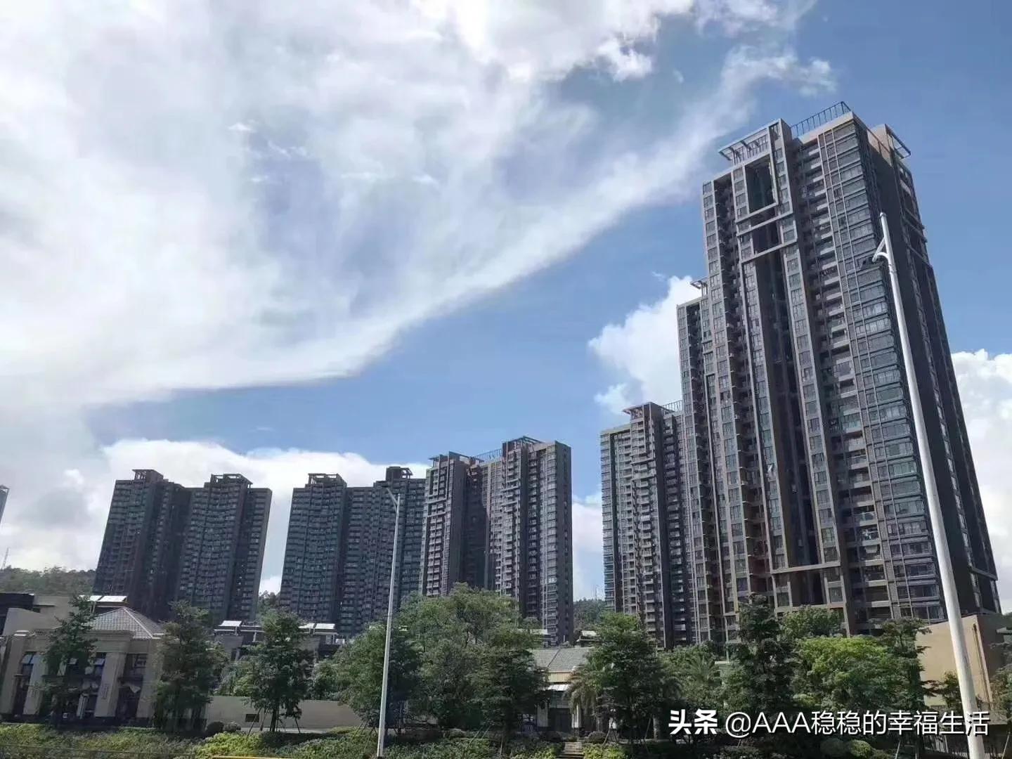 深圳市ndp水平怎么样