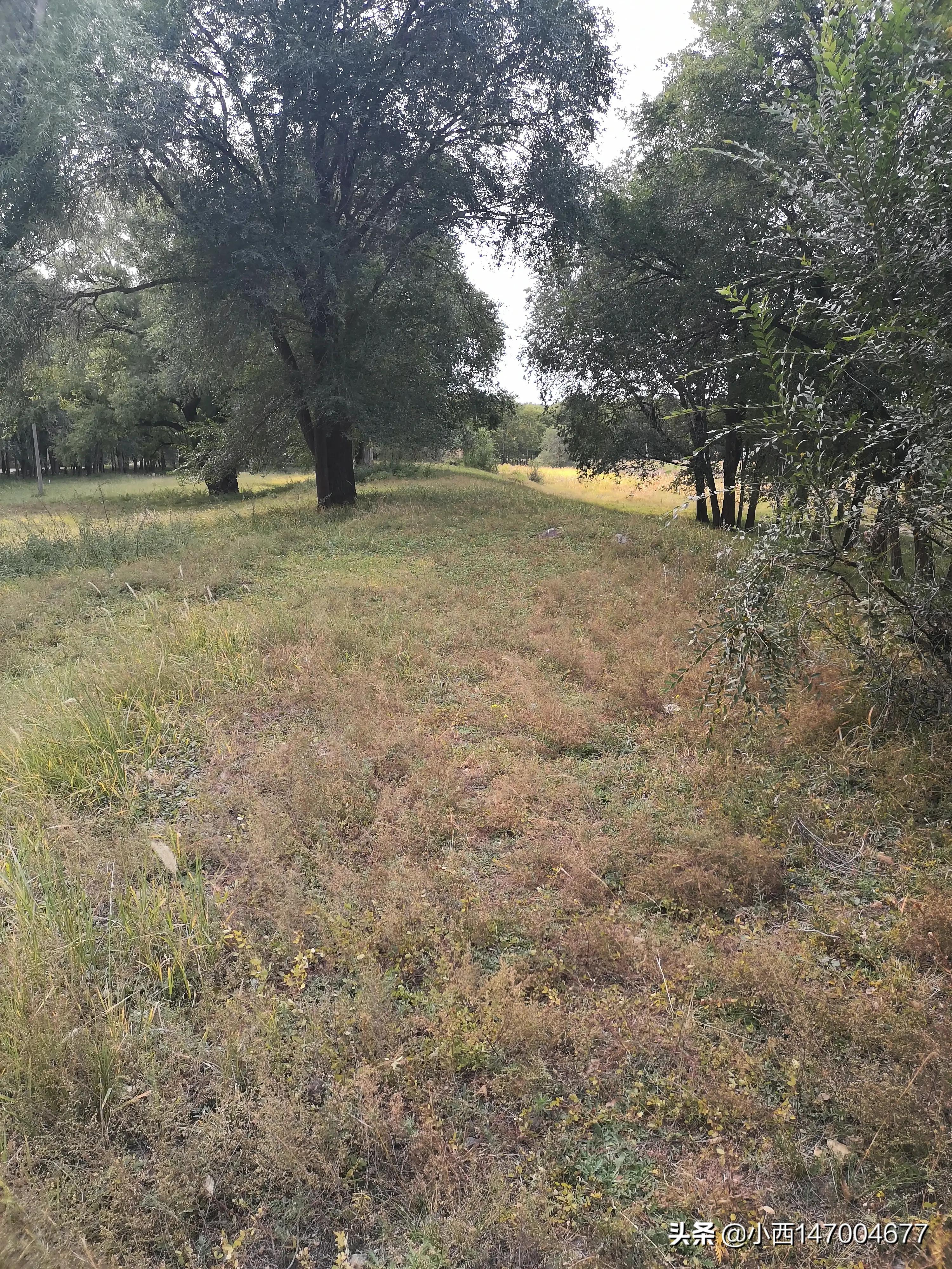 智能图像创作中心网站官网,请问大家写头条都在哪里找的图片呀?