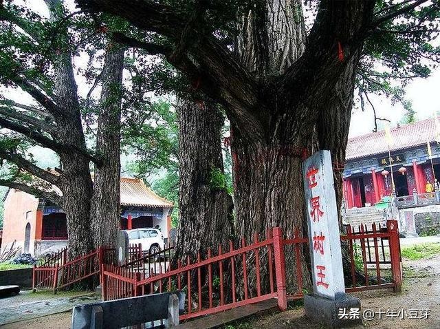 河南哪个城市停车免费