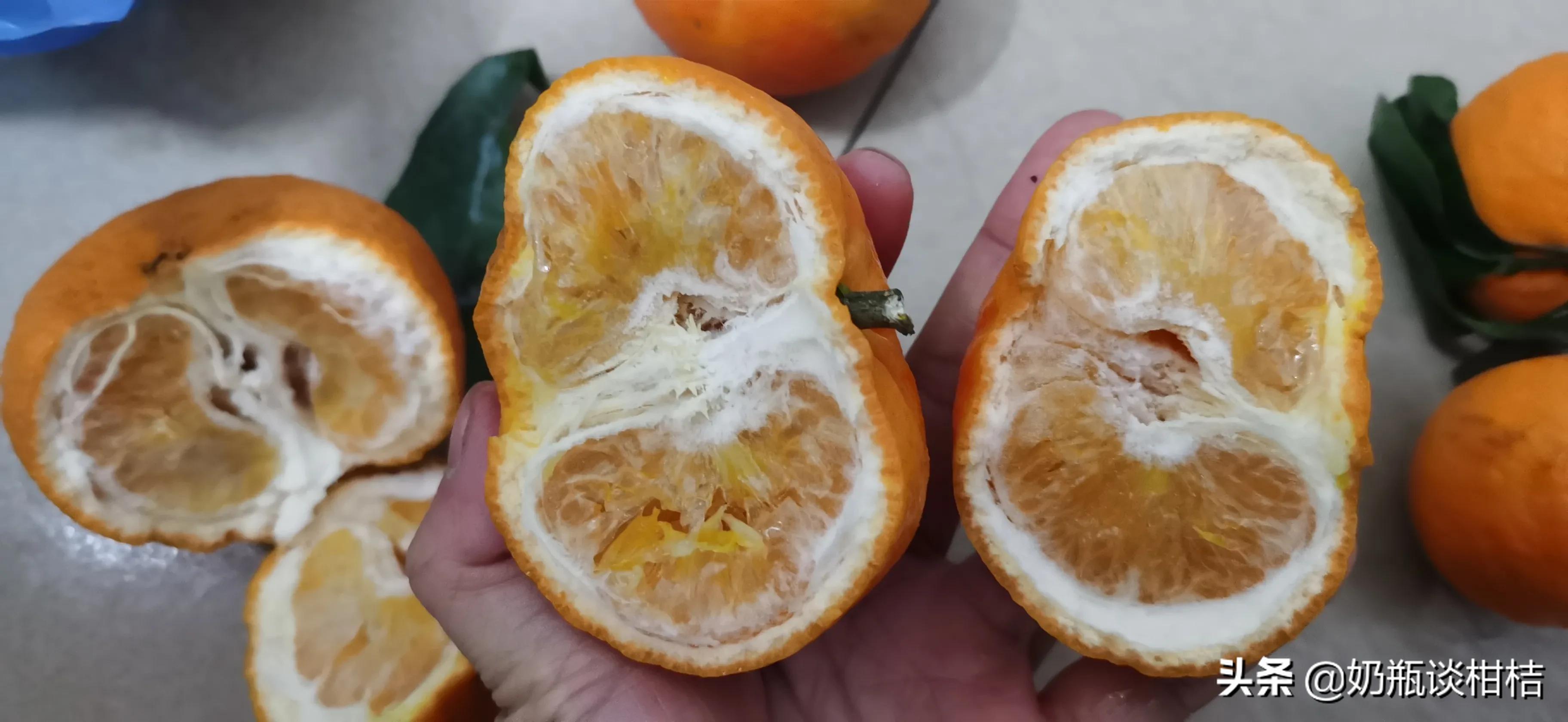 桂林沃柑哪里的最好? 桂林沃柑哪里的最好?