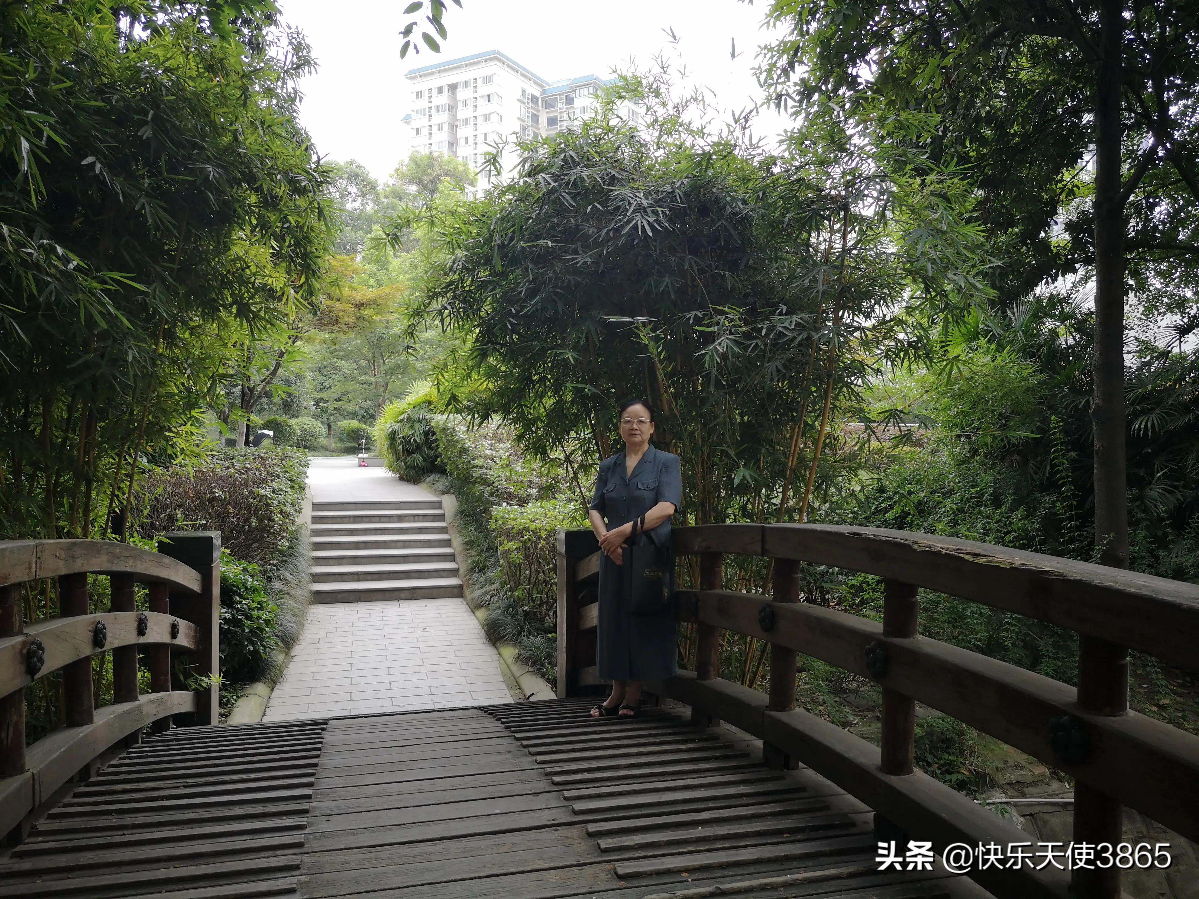 孩子海外生活的经历，孩子海外生活的经历怎么写