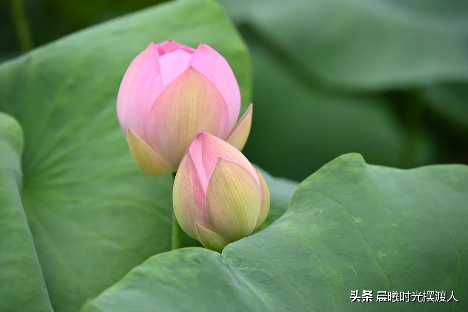婚姻登记中心进复旦（女儿男朋友复旦大学毕业，但来自农村没车没房，我该同意他们吗？）