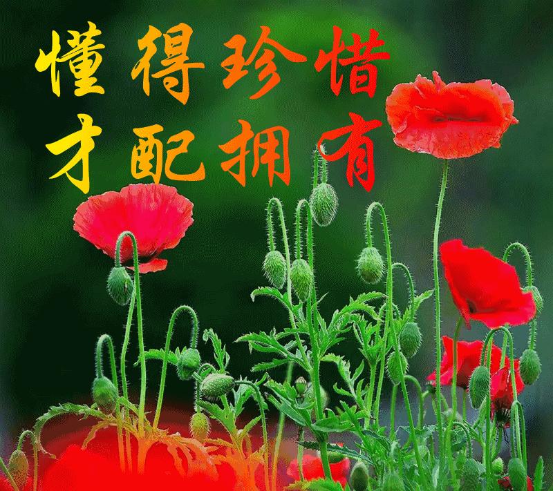 家和亲家和亲智能摄像头