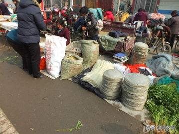 广州乡村里有一种生活叫“趁墟”，充满情怀，与北方赶集一样吗？