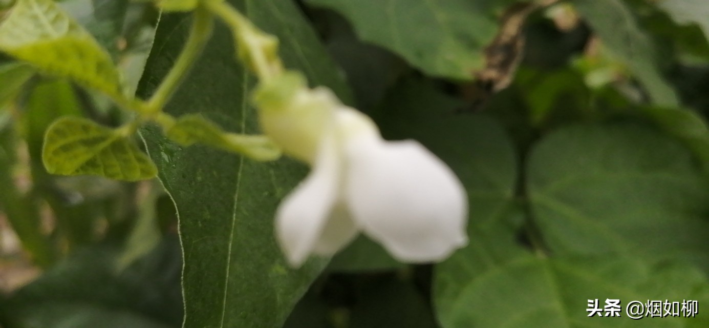 怎么能让(如何让自己变得心狠?) 怎么能让(如何让自己变得心狠?)