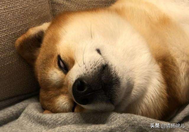 美妆博主今日分享好物
