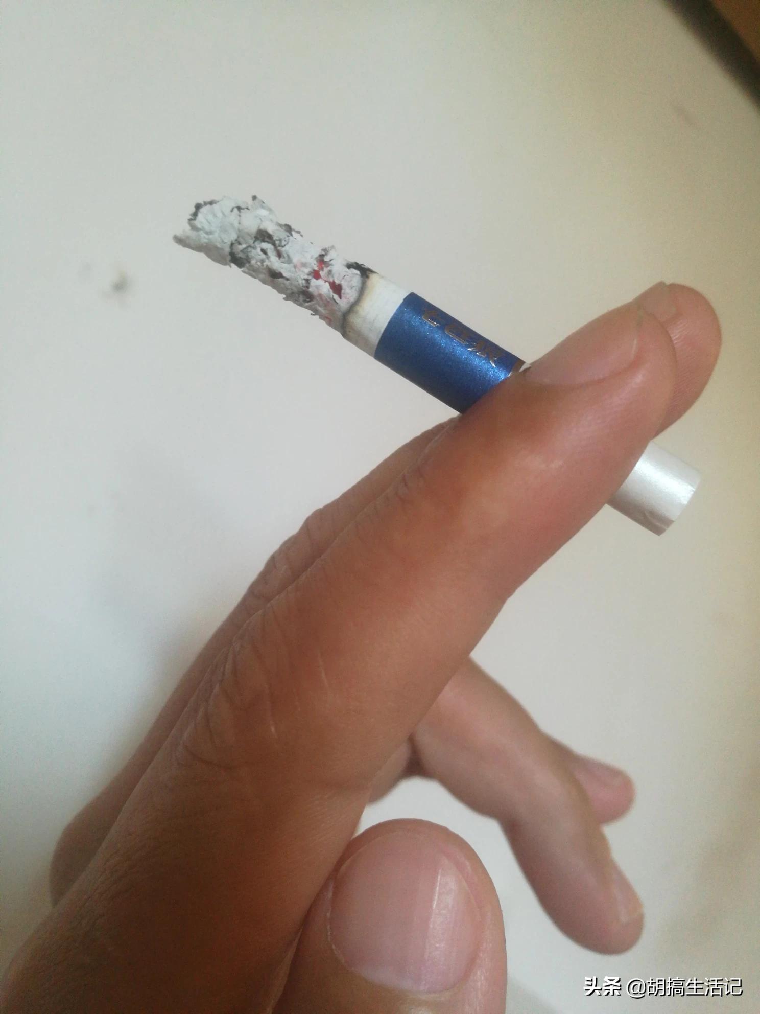 搭建网站需要会编程吗