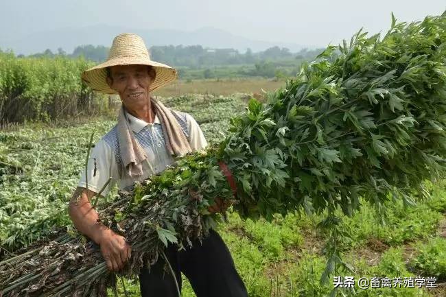 前途汽车报价大全,前途汽车报价大全图片