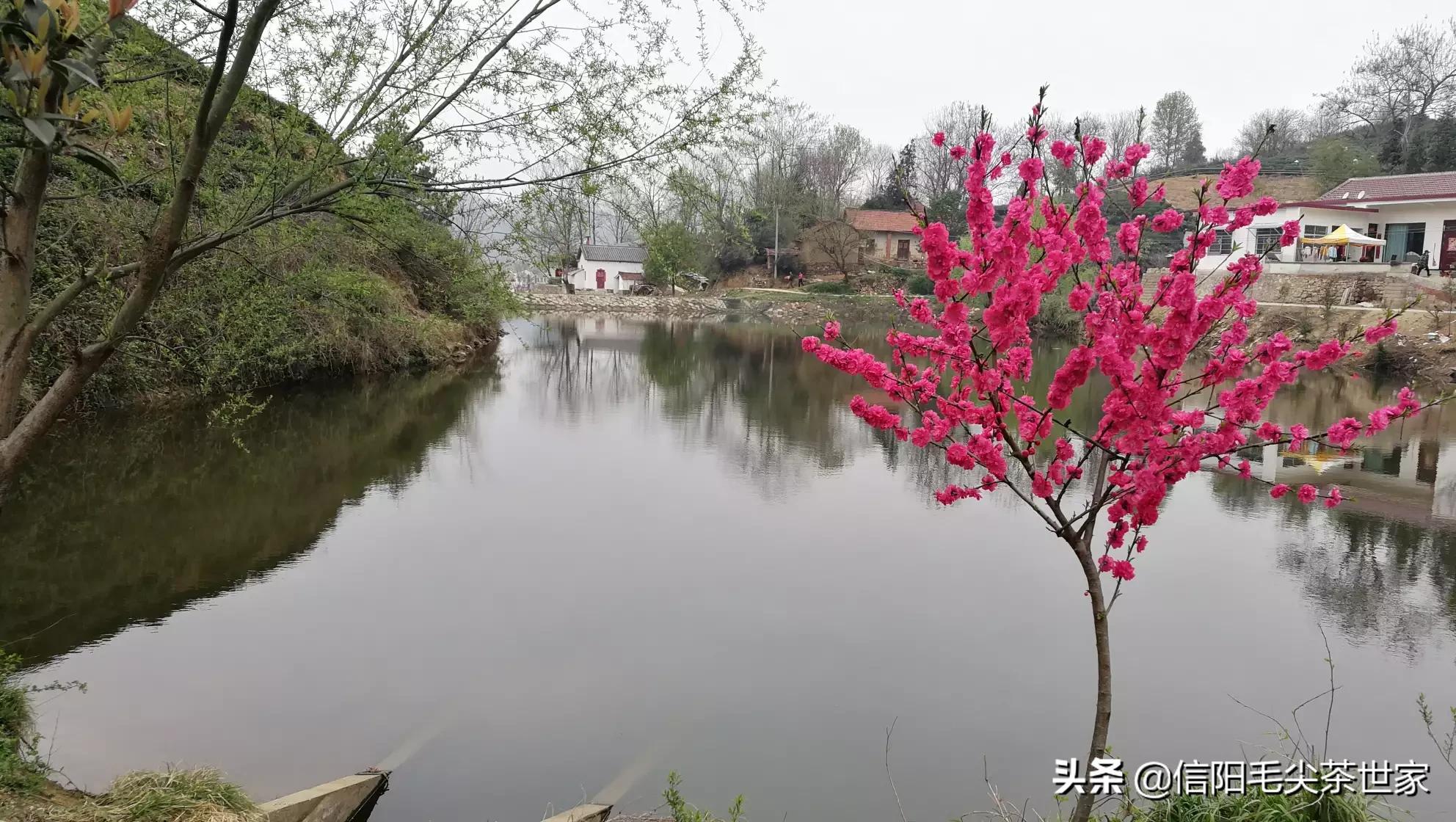 信阳消费水平在河南怎么样？