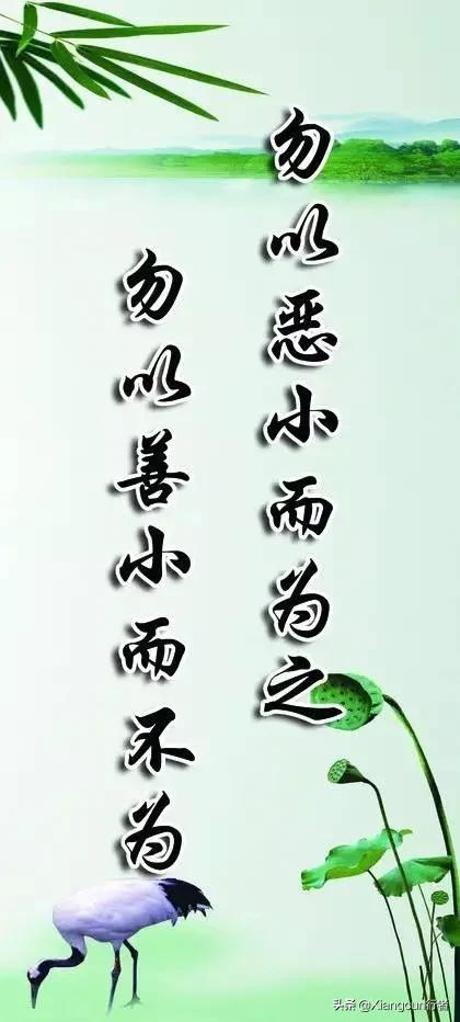 孕36周堕胎被控谋杀36周打胎