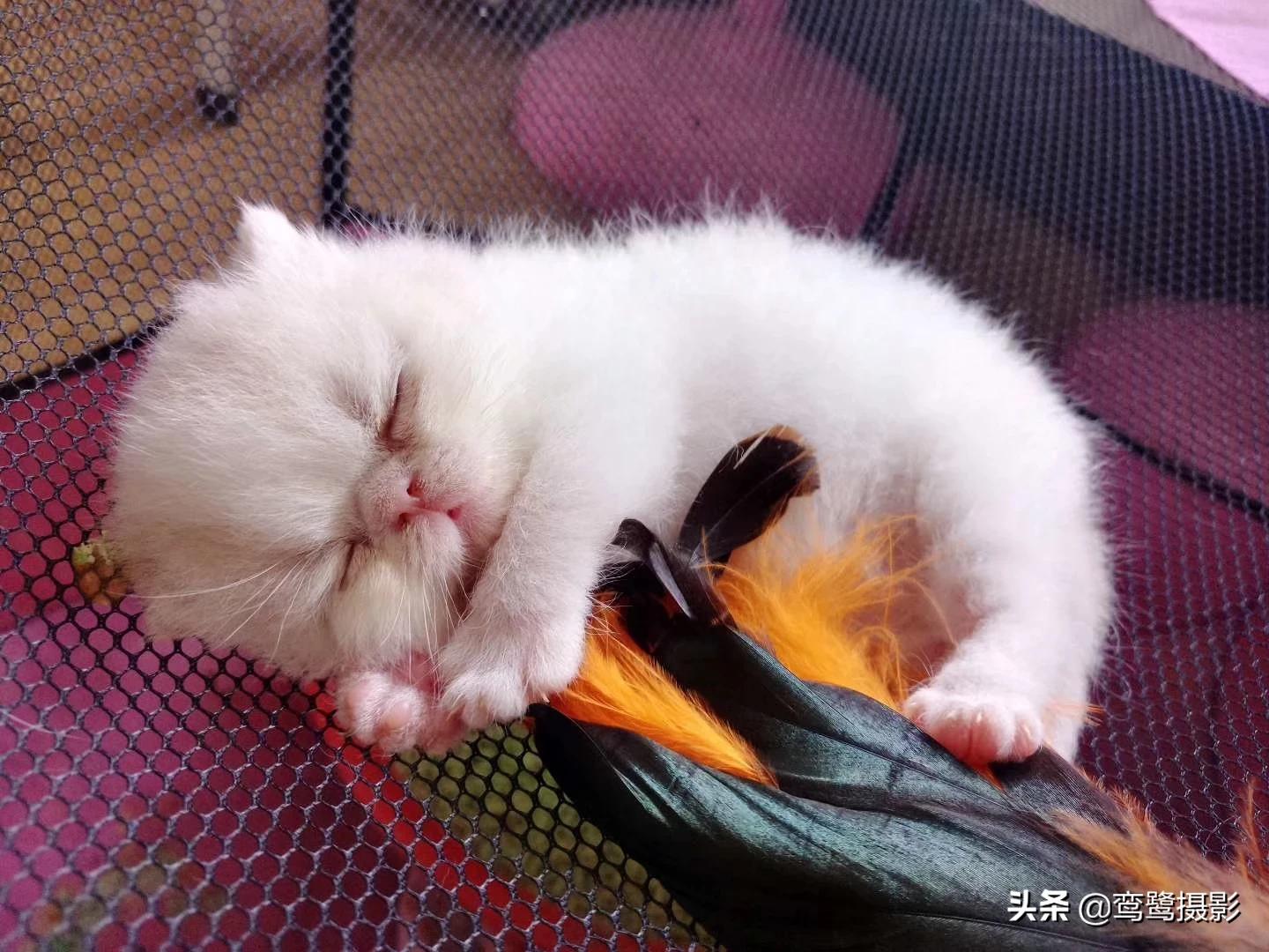 记录海外生活拍摄的不清楚，记录海外生活拍摄的不清楚的软件