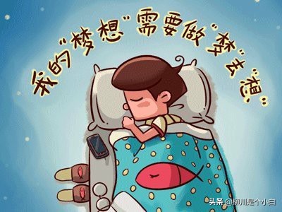 开发电商社交app报价