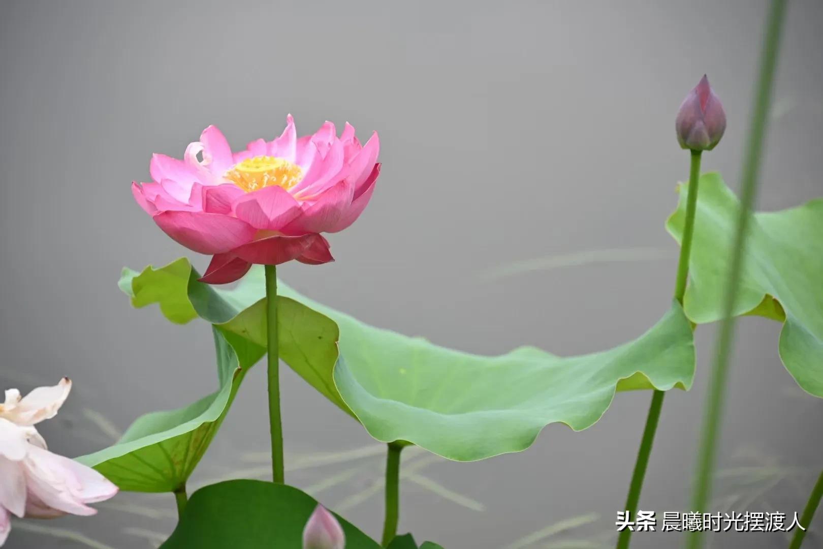 婚姻登记中心进复旦