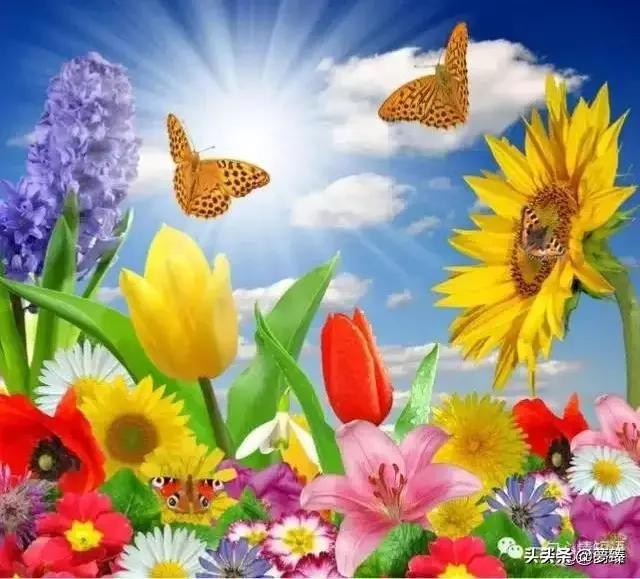 家和亲家和亲智能摄像头