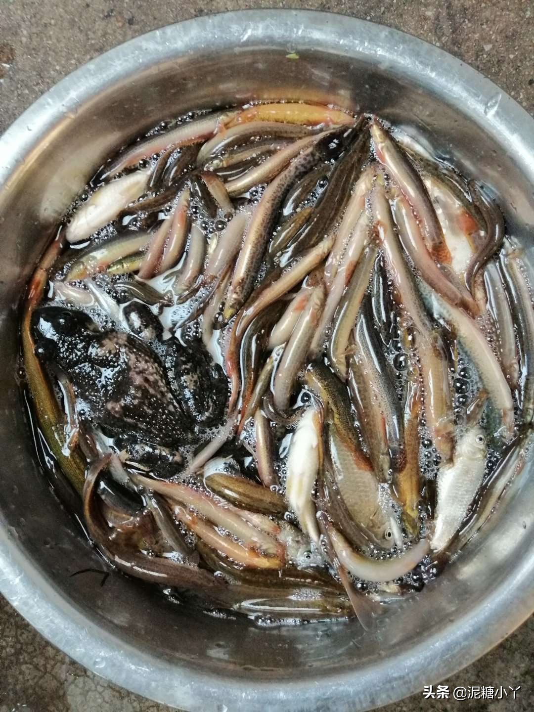 [老年人图片]老人与蛇的寓言故事？