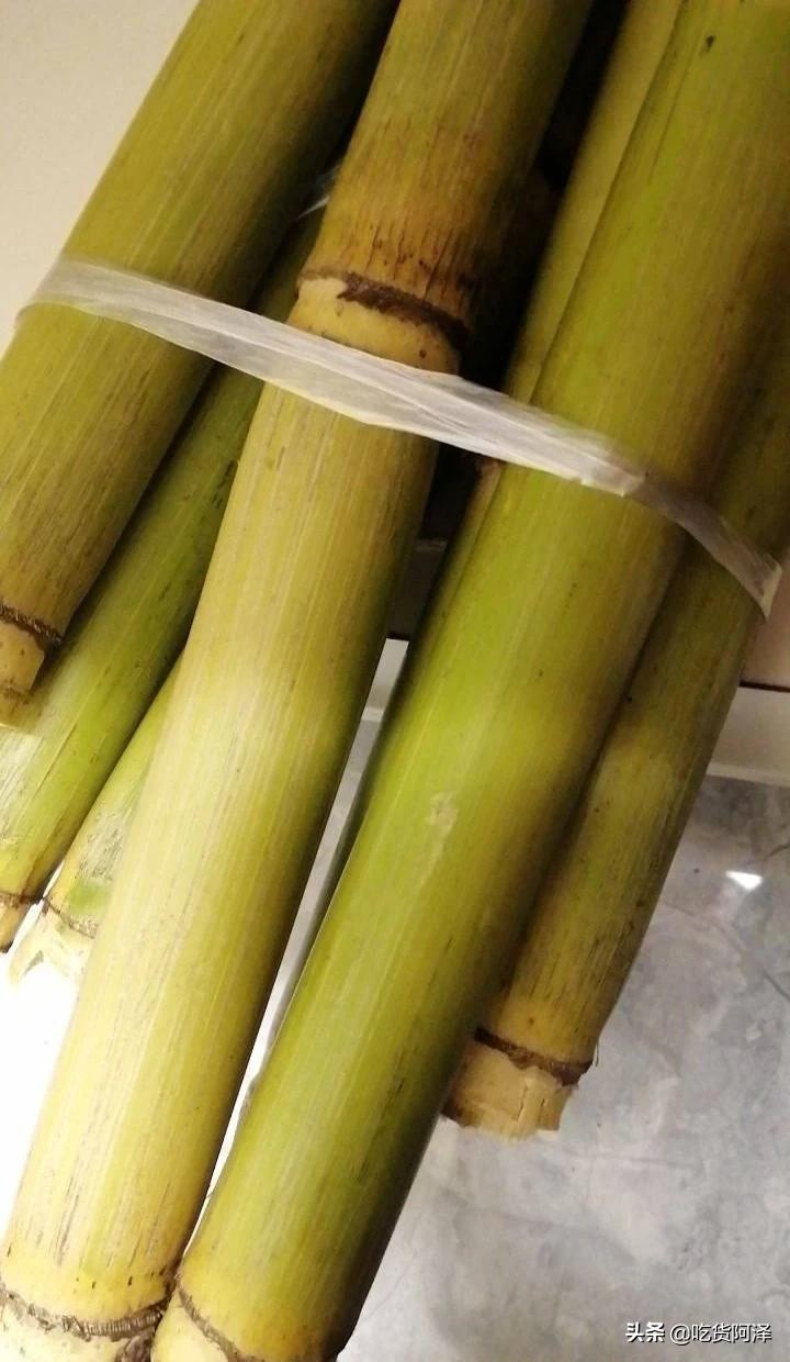 海外生活吃货视频大全下载，海外生活吃货视频大全下载安装
