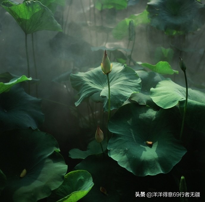 帅哥海外生活图片高清，帅哥海外生活图片高清大图