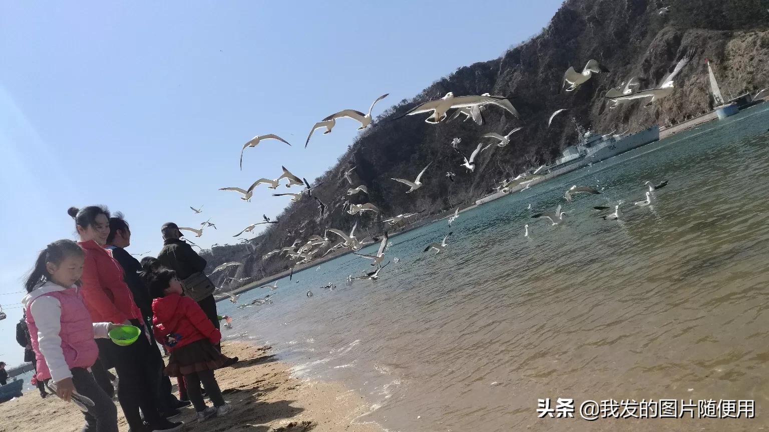 大连市老虎滩怎么样