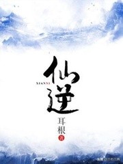 如何搭建网站平台教程