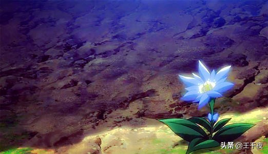 [不折叠输入法]微脉输入法怎么用不折叠？