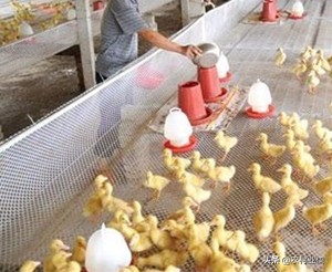 搭建网站属于什么技术
