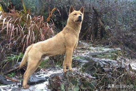 能把(人流完之后子宫里面还有2厘米的血块清宫能清干净吗?) 能把(人流完之后子宫里面还有2厘米的血块清宫能清干净吗?)