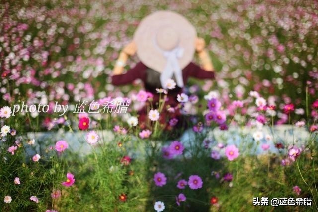 定焦头定焦头和变焦头的区别