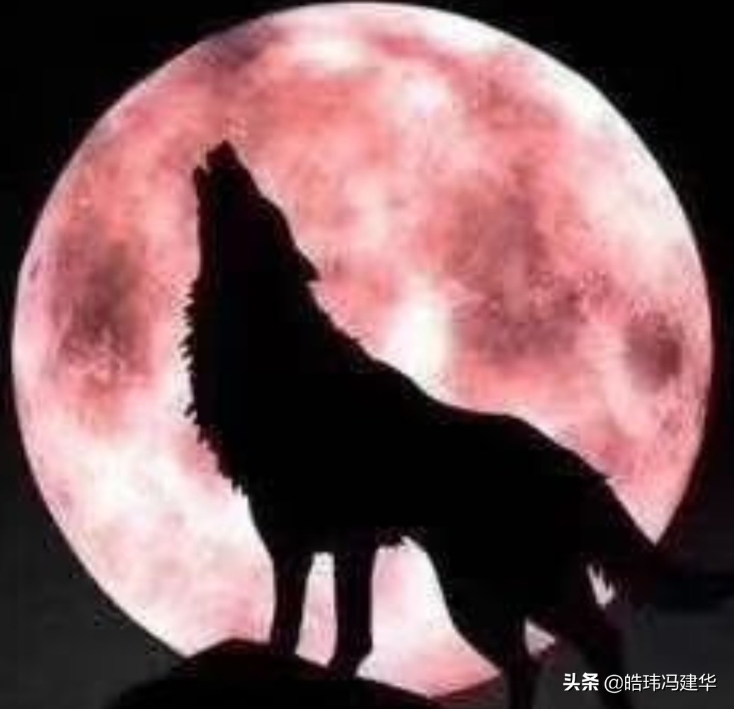 美国劳动力市场流失