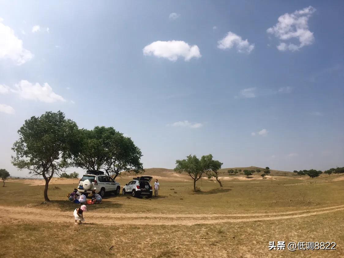 女生发树的图片意思?:草原照片 女生发树的图片意思?:草原照片