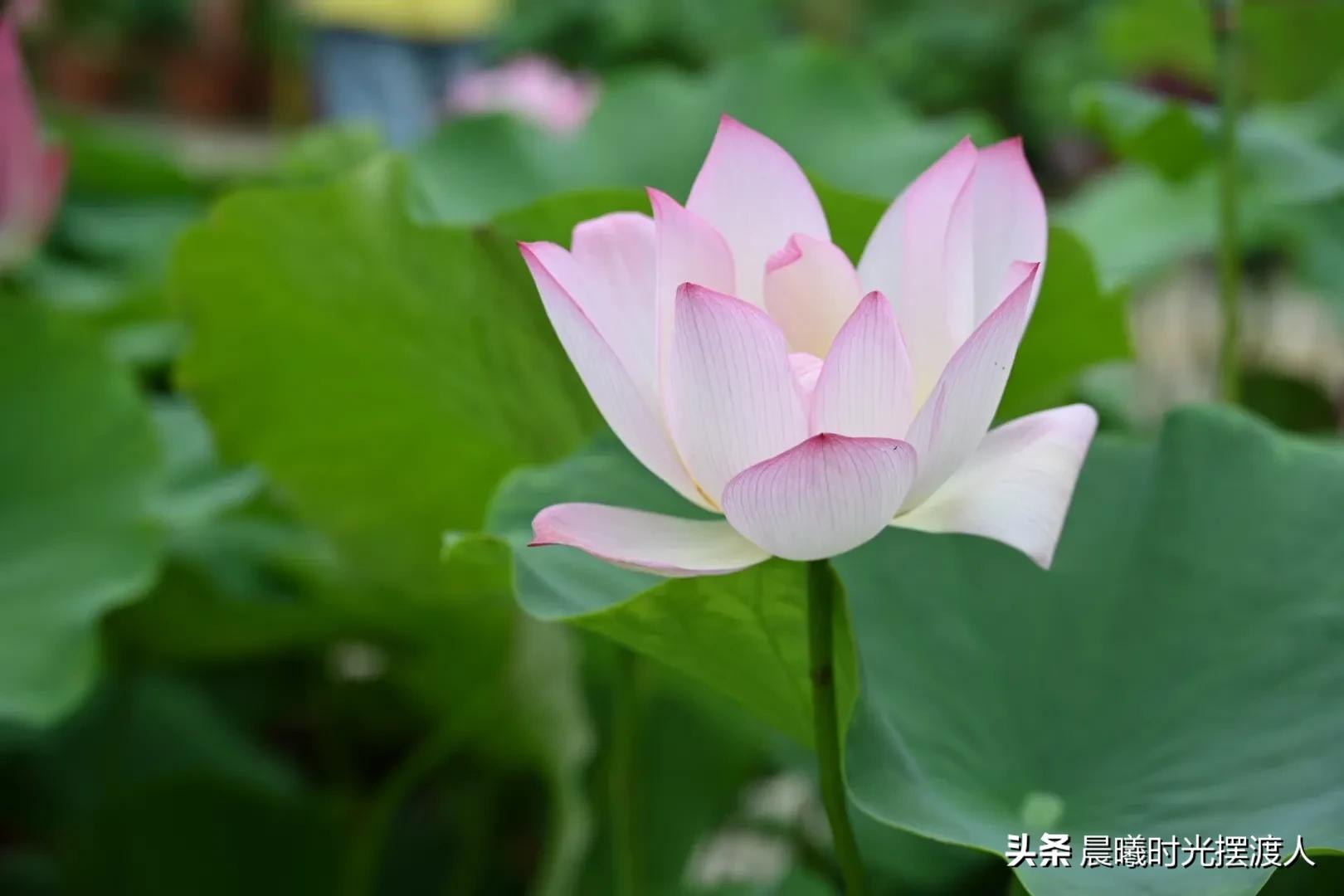 婚姻登记中心进复旦