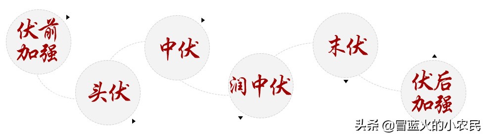 入伏后会不会一天比一天热?怎么健康度过三伏天?：三伏天会更热吗