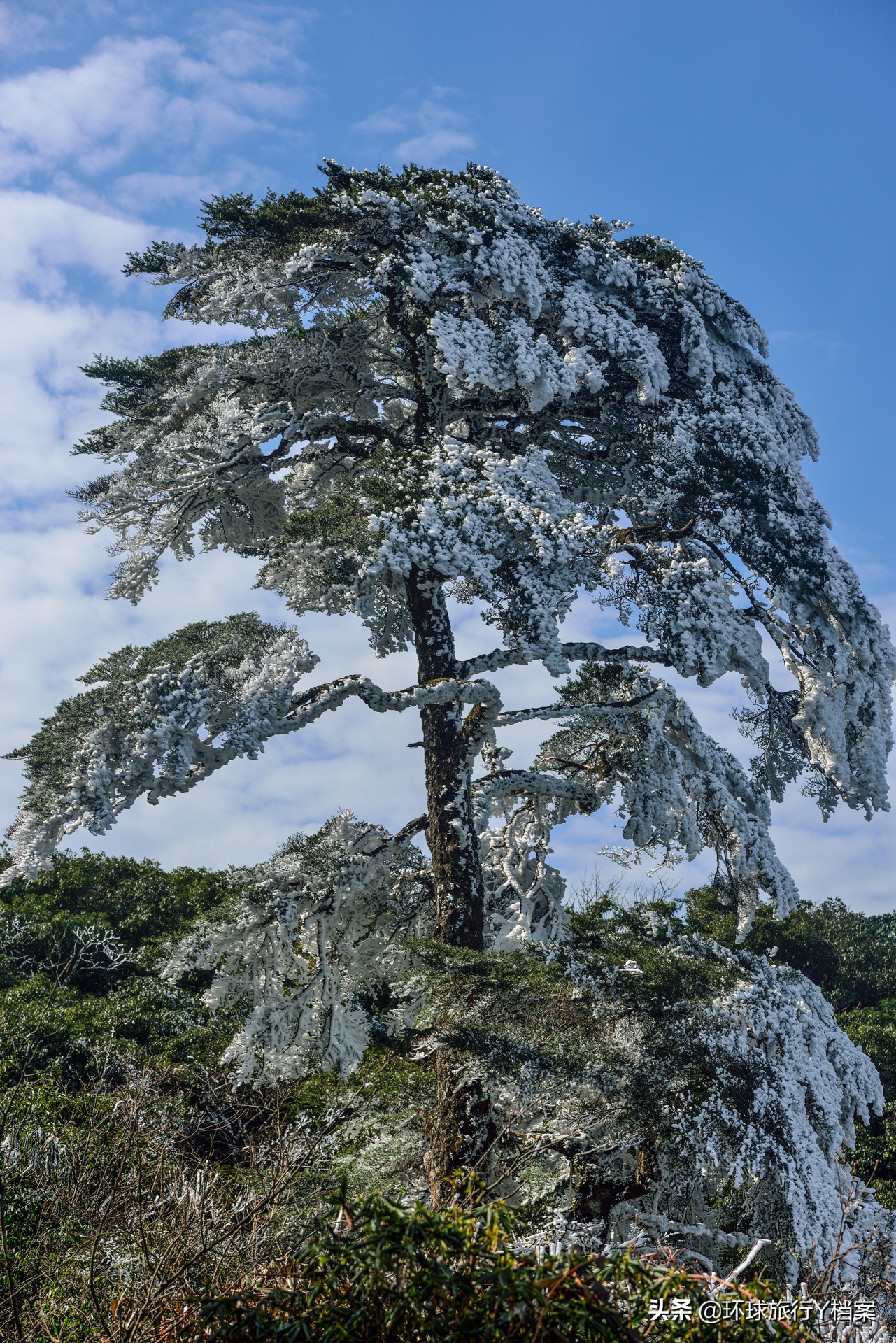 猫儿山（猫儿山自驾游攻略？）