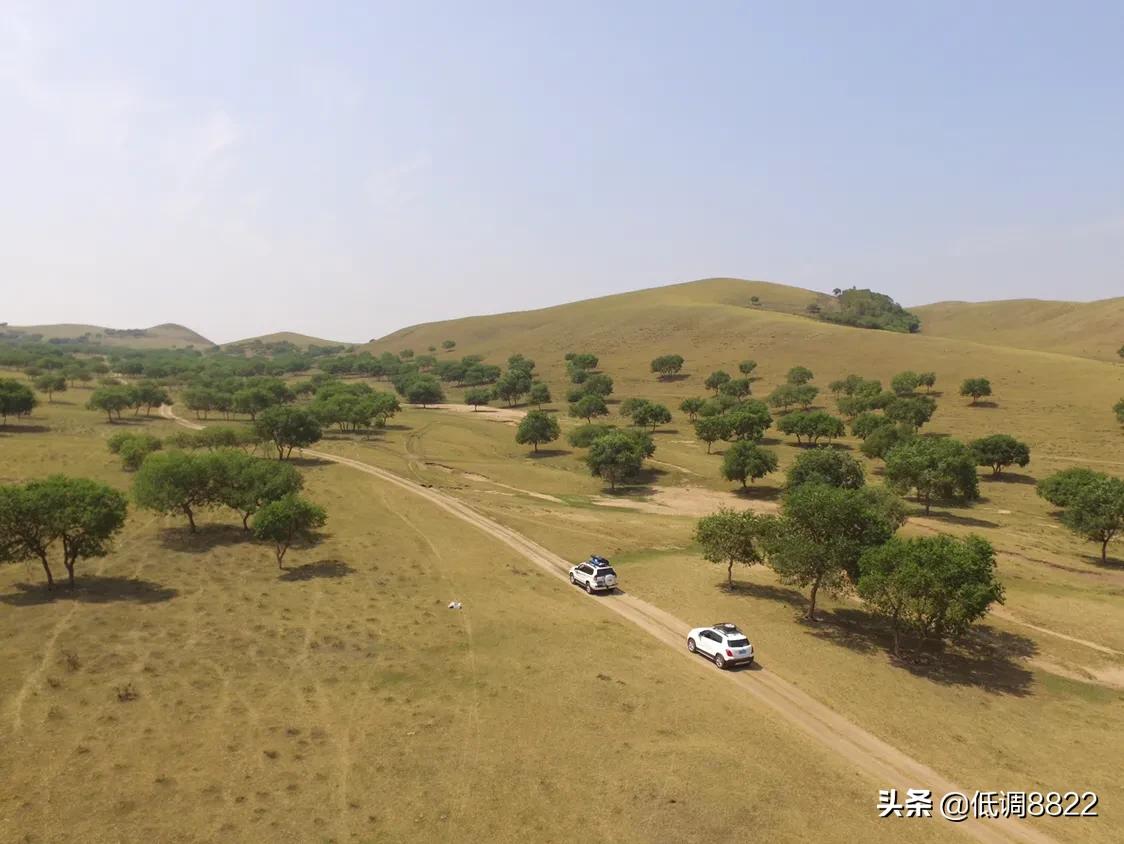 女生发树的图片意思？：草原照片