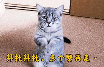 高速遇欧盟牌照小车