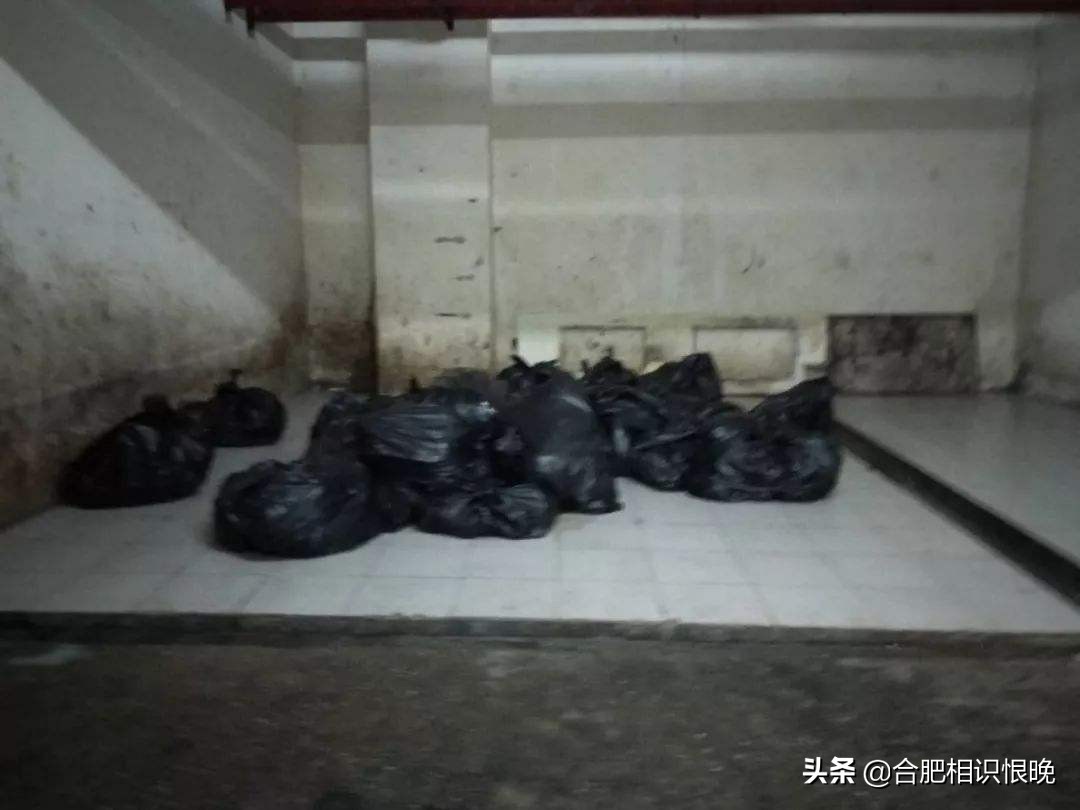 合肥城泊停车位收费标准？