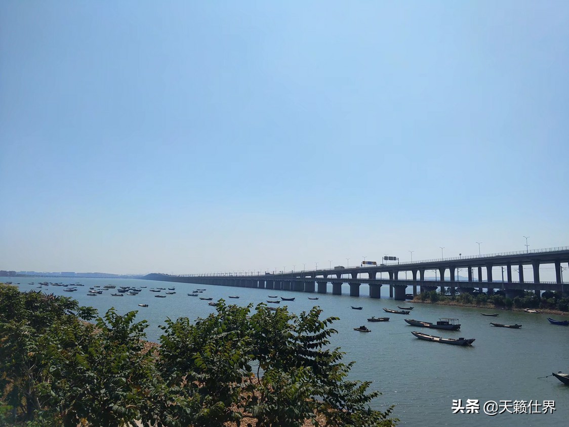 厦门注册公司有什么优惠政策？大学生刚毕业，想开一家IT公司，帮人做网站？