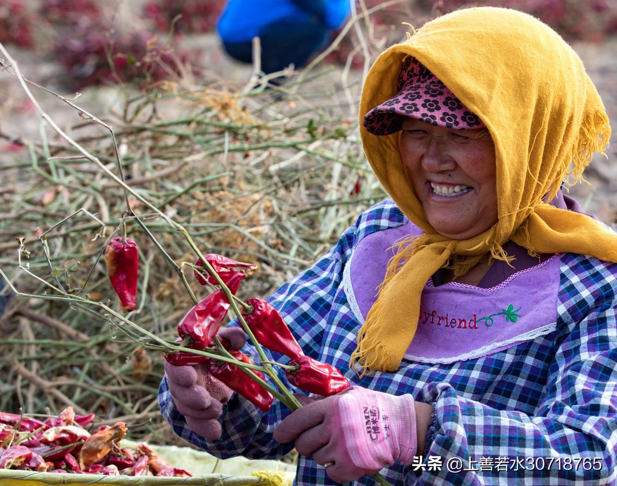 搜麻豆搜麻豆传媒免费高清日B视频 搜麻豆搜麻豆传媒免费高清日B视频