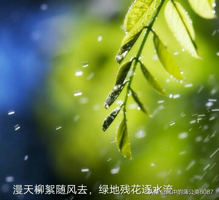 上海杀妻冰柜藏尸案：嫌犯被认定预谋杀人，曾网购《死亡解剖台》，作案手法与书中雷同，岳母庭上大喊人渣，你怎么看？：杀妻后欲购冰柜藏尸