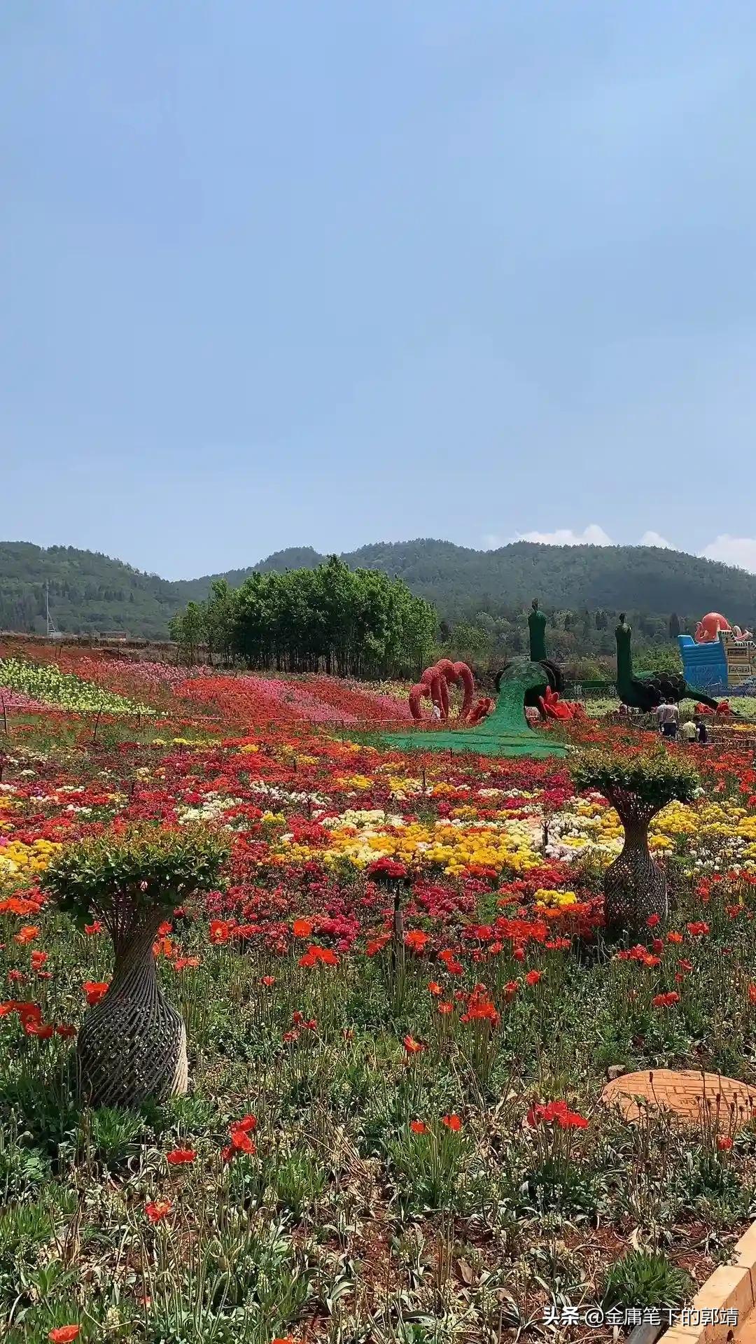 旅游app开发资金