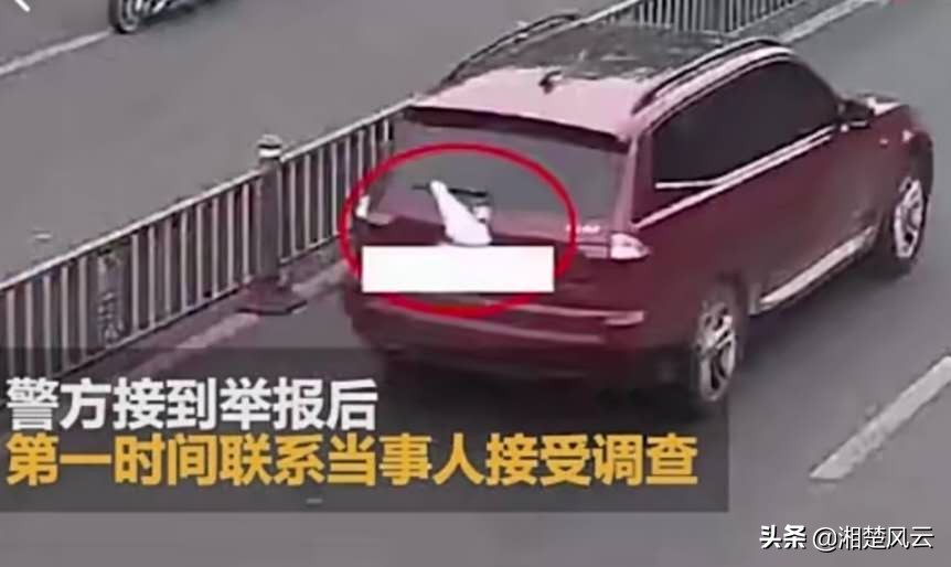 粉色宝马